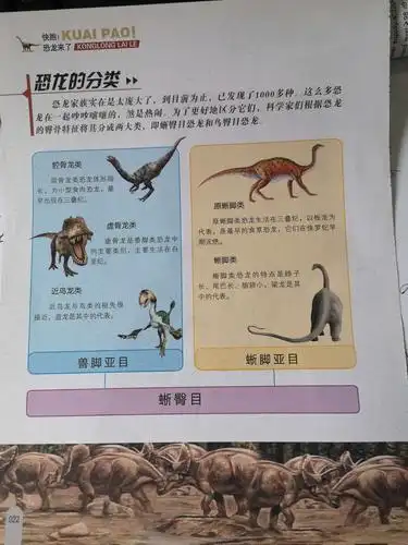 自贡恐龙展--嘉兴站