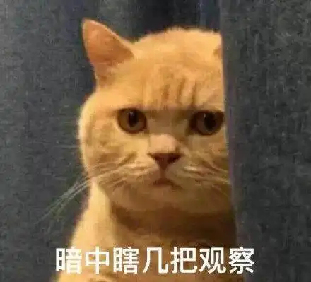 msbot61暗中观察表情包 - @msbot61暗中观察微信表情包 - @msbot