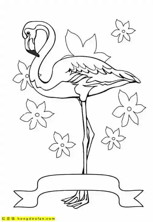 12张象征着忠贞爱情的粉红色火烈鸟卡通涂色图片-红豆饭小学生简笔画