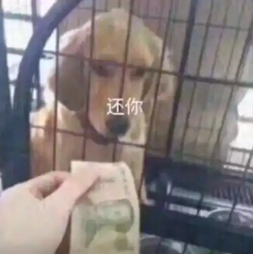 抖音最火图片丨还你一块钱