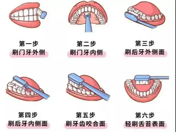 幼儿园儿歌刷牙歌,儿童刷牙正确方法步骤图解