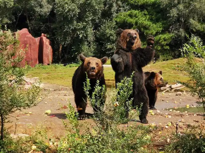 沈阳森林动物园