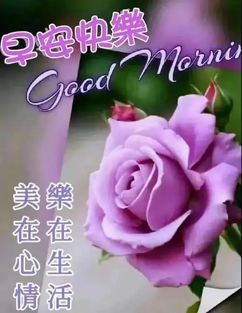 8张最新夏日暖心的早上好祝福语图片带字有创意的清晨早安问候祝福语