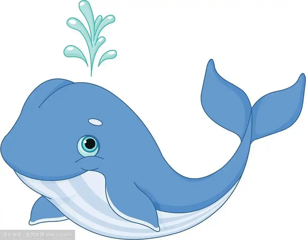 鲸鱼的卡通