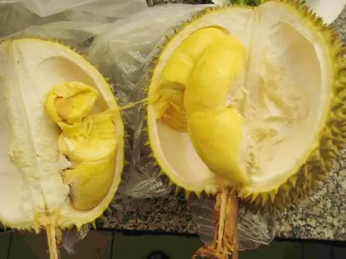 榴莲壳的功效与作用具体价值有哪些