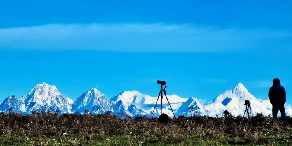 鱼子西随便拍一张都是电脑桌面