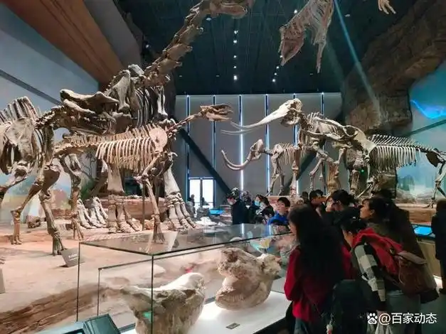 中国古动物博物馆探索宇宙奥秘生命起源的百科全书