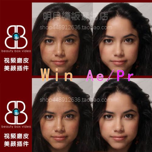 win中文汉化版-beauty box 5.0.9视频人像磨皮润肤美颜ae/pr插件