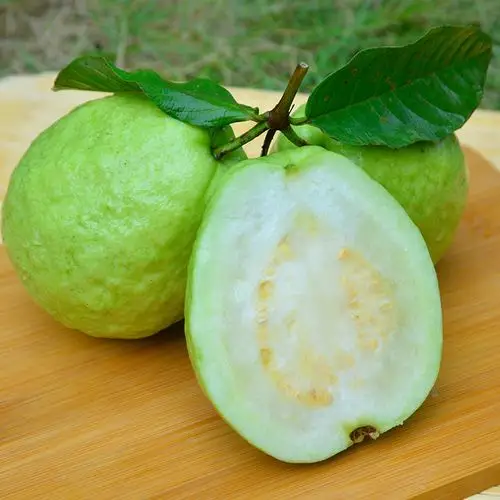 广西珍珠番石榴白心白肉芭乐水果农家自产果园直供现发8斤装包邮