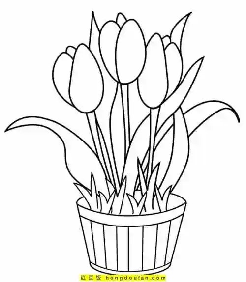 12张盛开着的郁金香植物花朵春天卡通简笔画-红豆饭小学生简笔画大全