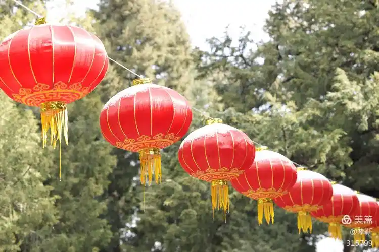 2021年2月2日上午去景山公园拍春节红灯笼