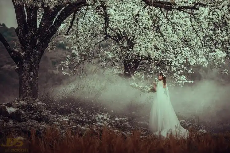 【梨花影摄影图片】人像摄影_太平洋电脑网摄影部落