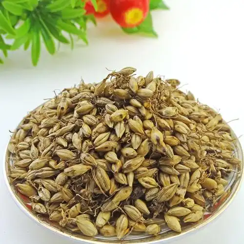 炒麦芽 中药材 天然野生纯新货 麦芽 大麦芽 麦芽 500克 包邮