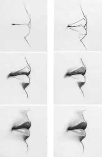 4,半侧面角度嘴部表现规律: 半侧面的嘴在绘画时要注意横向上的透视