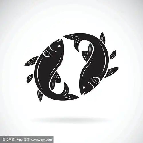 白色背景上的两条鱼设计矢量.水生动物.