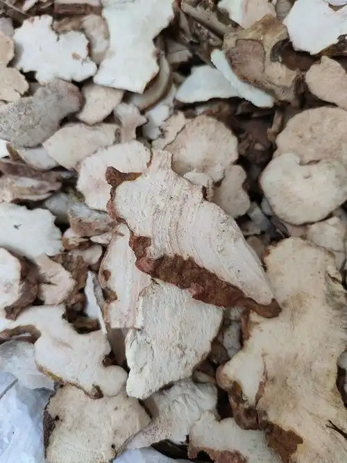 新鲜土茯苓深山中药材农家食用煲汤食材白茯苓硬饭头500 2斤【新鲜土