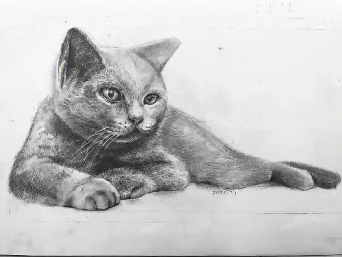 画了一只妖娆的猫咪