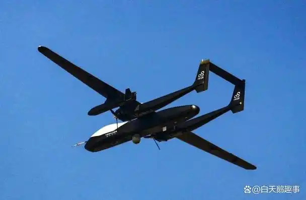这款无人机不仅可以执行察打一体任务,还可以挂载2个小型无人机作为子