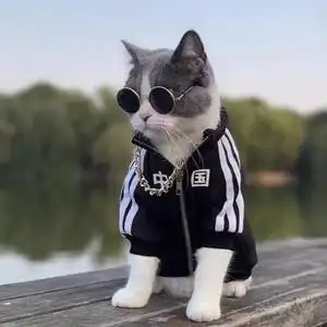 宠物墨镜金链子狗狗猫咪项链眼镜