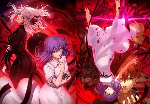 fatestaynightheavensfeeliilostbutterfly命运之夜天之杯ii迷失之蝶