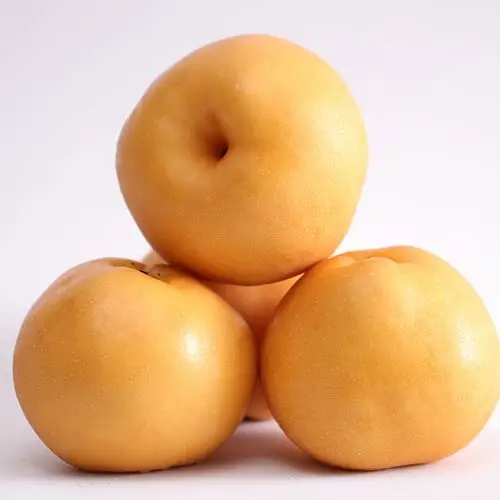 【顺丰现货】烟台丰水梨秋月梨脆甜多汁5斤装单果200g起 5斤装