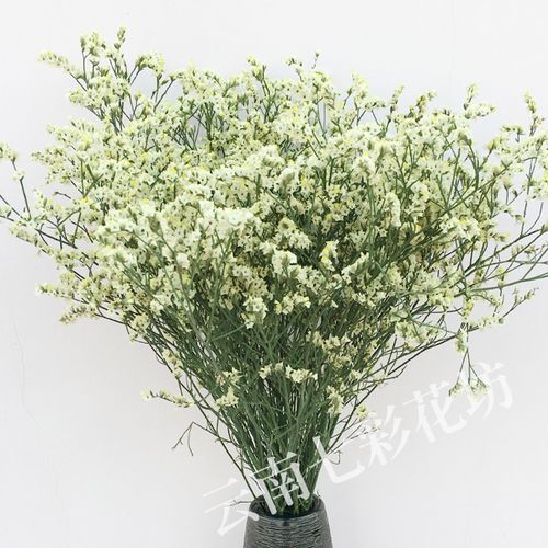 水晶草 云南干花真花家居装饰插花花束配花满天星勿忘我