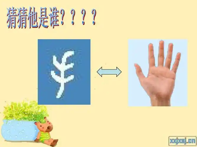 提手旁和木字旁ppt