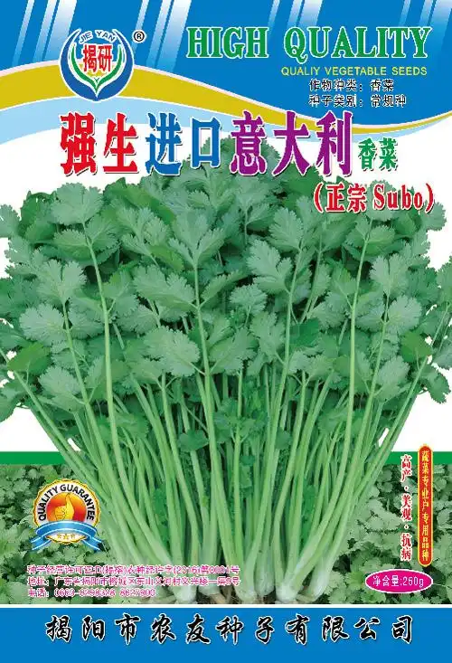 强生进口意大利香菜
