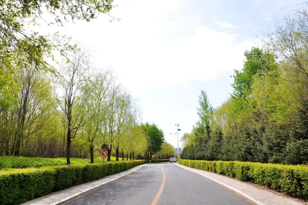 霸王河湿地公园的小路(三)#摄影 - 抖音