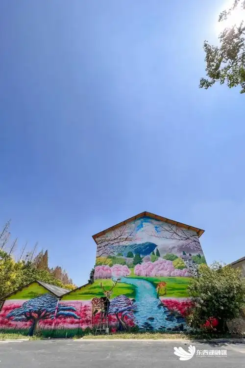 东西湖挪不开眼这里的墙绘太美了
