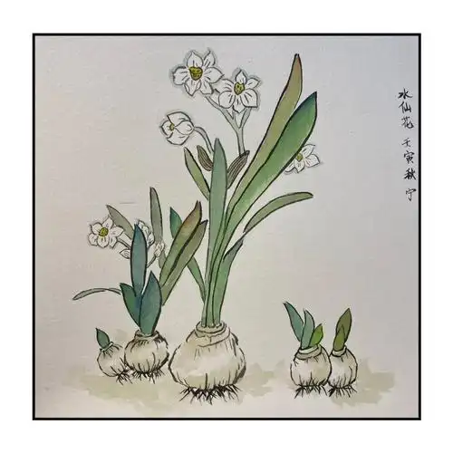 成人国画第二课水仙花