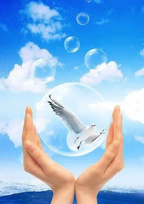 放飞白鸽实拍视频素材