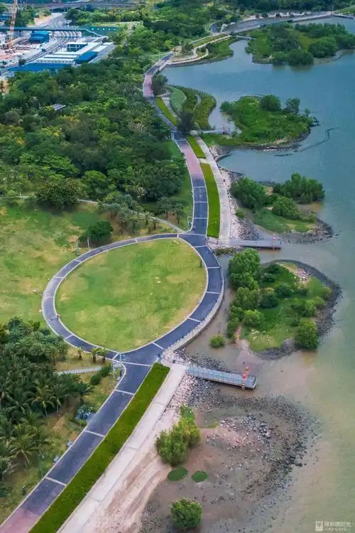 深圳市红树林海滨公园