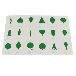 蒙氏教具树叶卡片柜 动植物嵌板柜 科学文化教具幼儿园玩具教学版 券