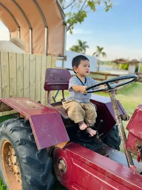 我是拖拉机斯基司机