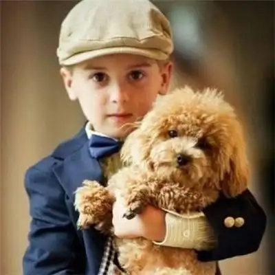 可爱帅气的小男孩照片,可爱帅气小男孩照片-图片大观-奇异网