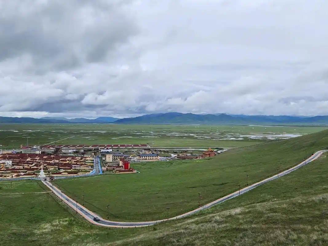 阿万仓湿地公园被誉为"黄河之肾".这片湿地不仅自然风光独特