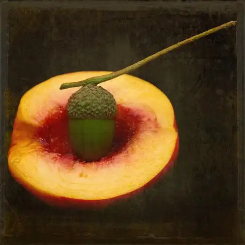 无人,方图,水果,英国,黑色背景,纹路,纹理,饮食,黄色,红色,桃,摄影