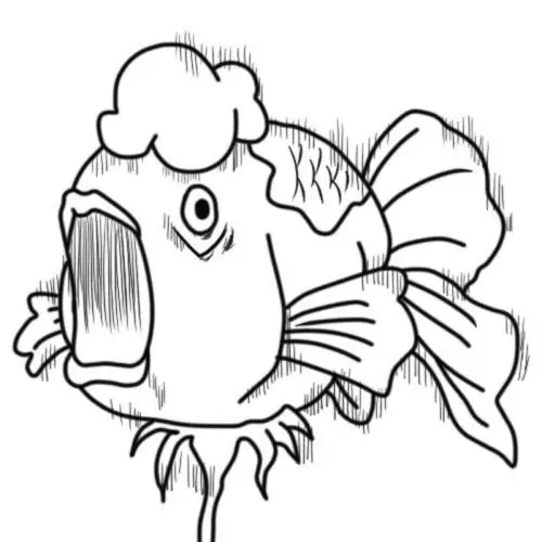 金鱼草橡皮章素材