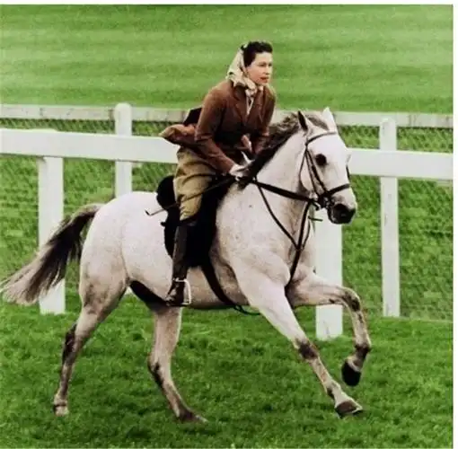 92岁伊丽莎白女王身体仍硬朗,大冬天光腿穿裙子,骑马丝毫不吃力