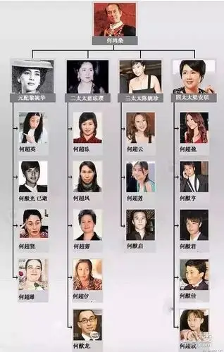 赌王何鸿燊和他的大太太感情确输给利益