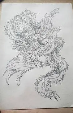 cn 凤凰涅盘|插画|商业插画|阄鼋 - 原创作品 - 站酷 (zcool)