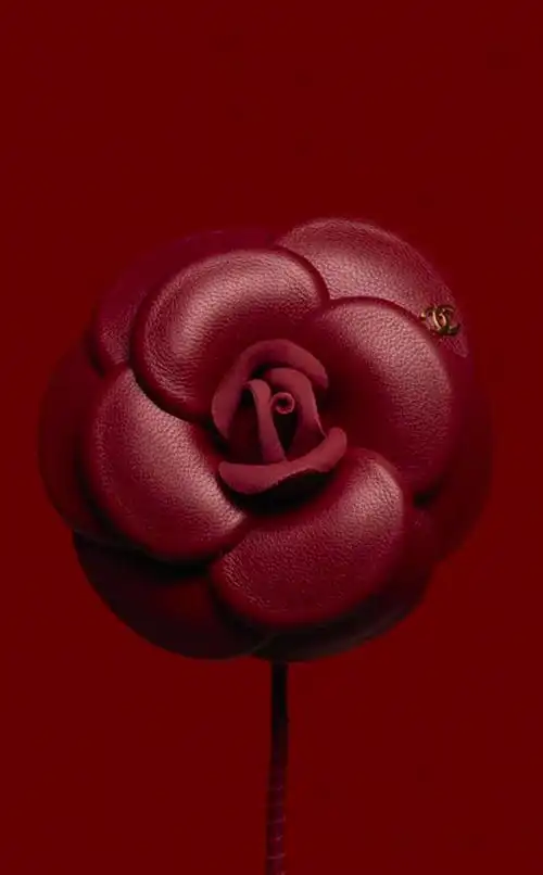 香奈儿山茶花唇膏彩妆