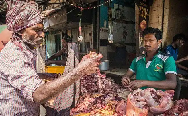 牛是印度的圣兽印度所有人都不吃牛肉吗那他们吃什么肉