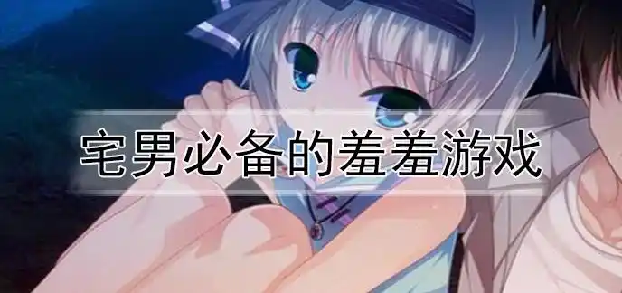 宅男必备的羞羞游戏