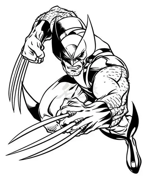 金刚狼入门画法教你画金刚狼