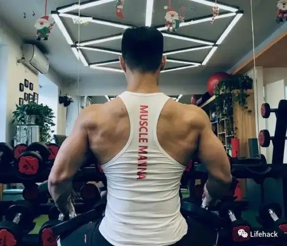 背阔肌|胸肌|肌肉|划船|腹肌_网易订阅