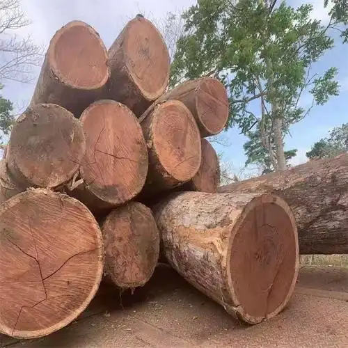 秘鲁红檀香原木 巴拿马红檀香 墨西哥红檀香原木 适用于实木家具