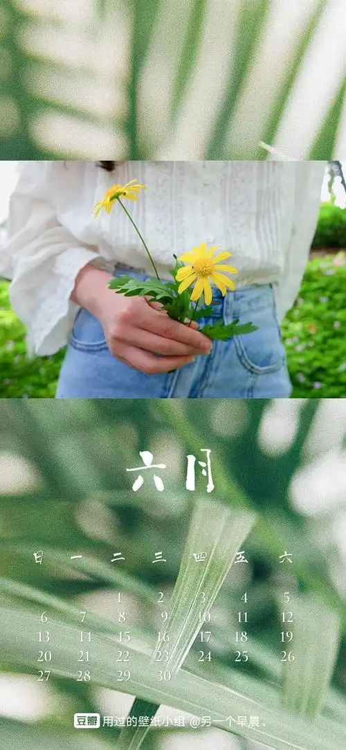 六月日历壁纸