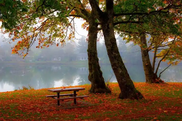 安卓(android)3d 绿色 护眼高清手机壁纸免费下载,安心市场-用安卓,要